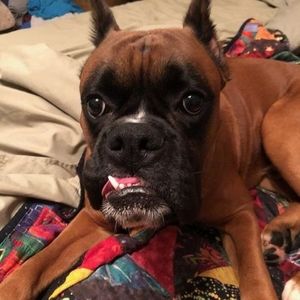 Meet your Posher, Esther